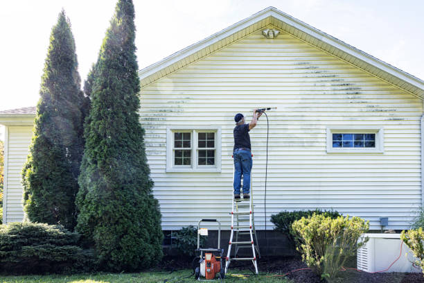 Best Building Exterior Washing  in Live Oak, FL